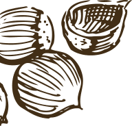 Minimalist hazelnut line art illustration, hand-drawn brown sketch of whole and cracked nuts.