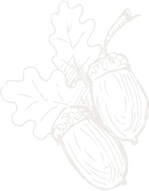 Hand-drawn minimalist acorn and oak leaf illustration, black line art on transparent background.