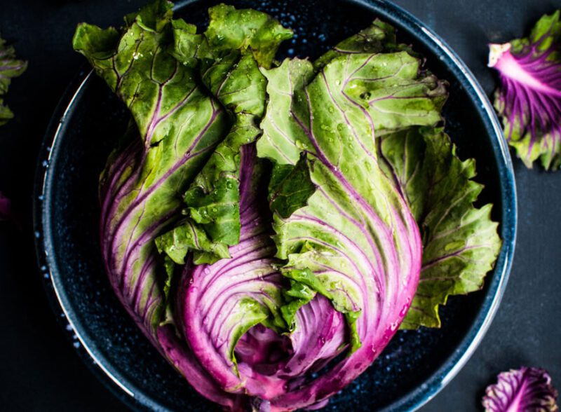 Top-down view of a vibrant purple and green cabbage with dew drops on a dark navy ceramic plate.