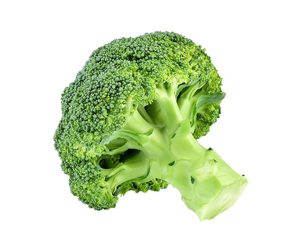 image13 Raw organic broccoli floret, fresh garden vegetable with vibrant green texture on a black background.