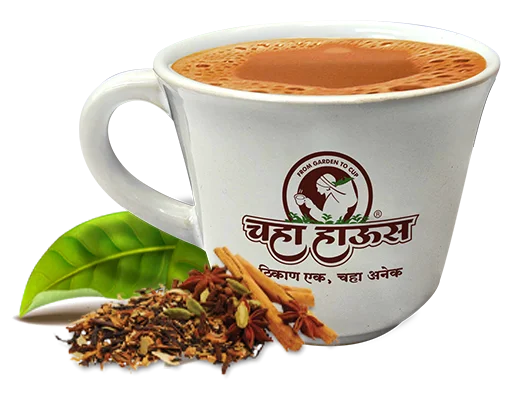 A cup of hot masala tea featuring the Chaha House logo, styled with raw spices including cinnamon, star anise, cardamom, and green tea leaves.
