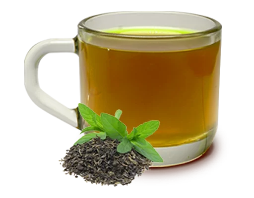 Glass mug of hot green tea with loose tea leaves and a fresh mint sprig on a white background